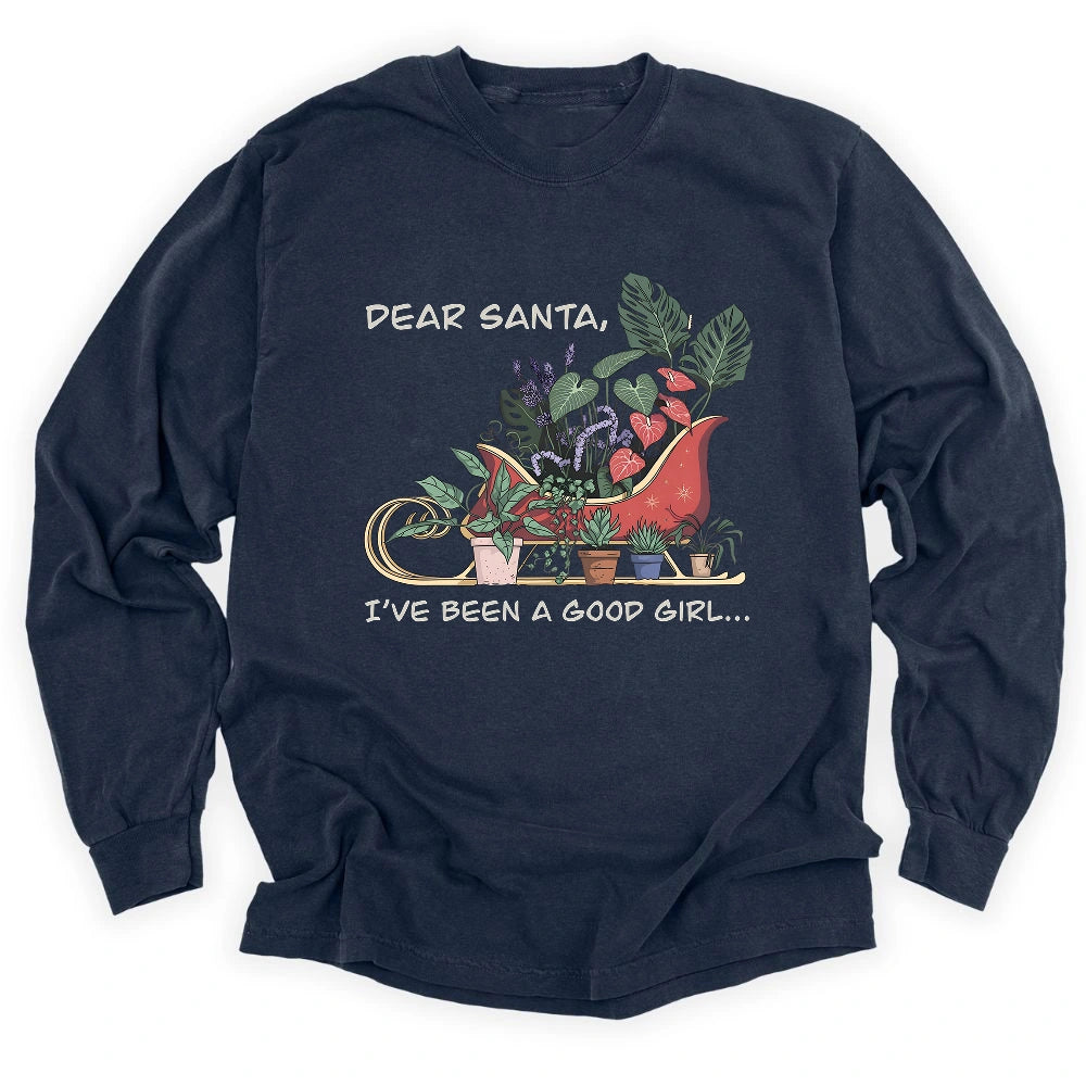 Dear Santa Long Sleeve T-shirt