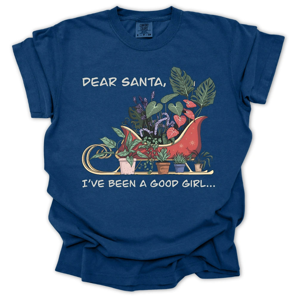 Dear Santa T-Shirt
