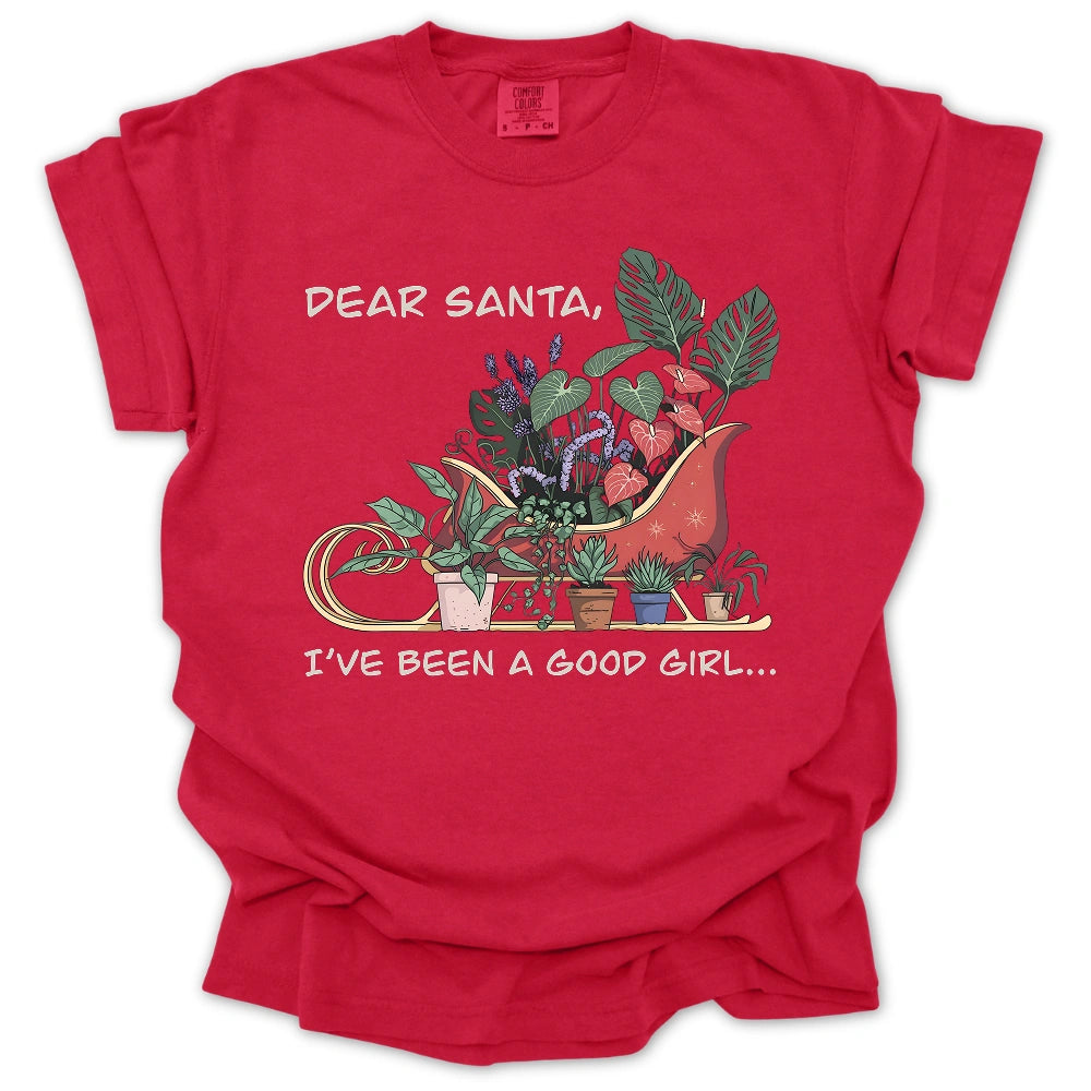 Dear Santa T-Shirt