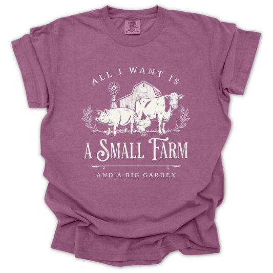 All I Want T-Shirt