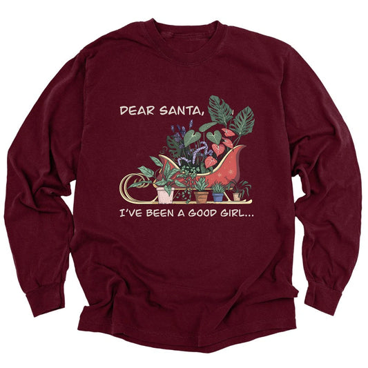 Dear Santa Long Sleeve T-shirt