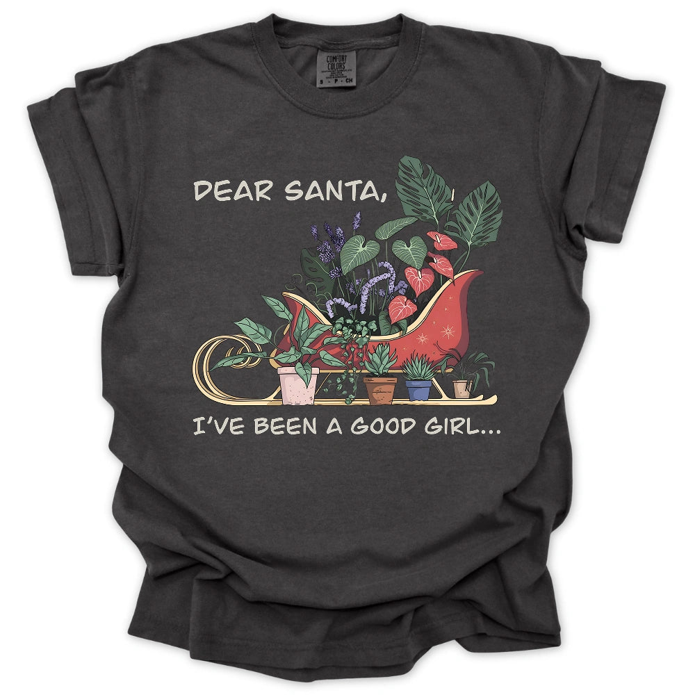 Dear Santa T-Shirt