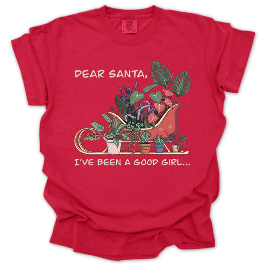 Dear Santa T-Shirt
