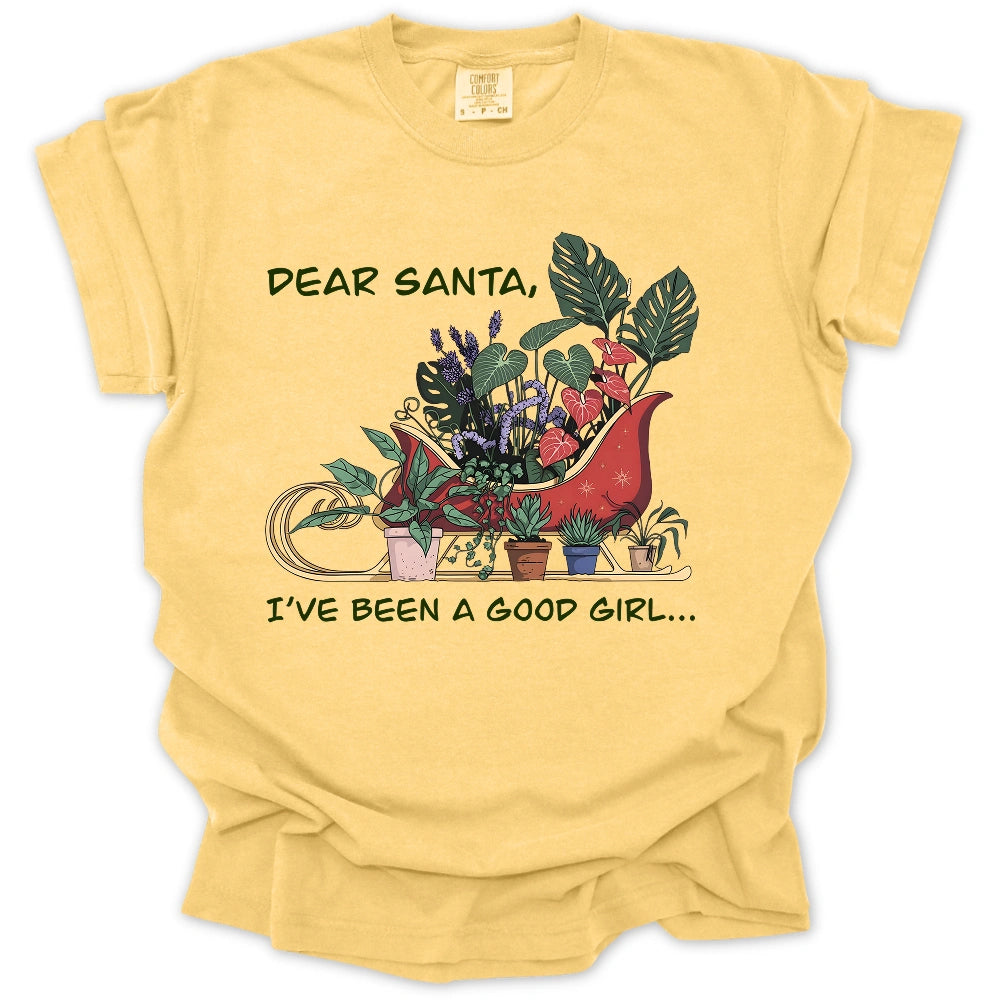Dear Santa T-Shirt
