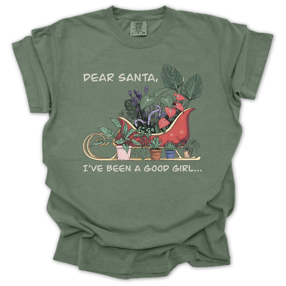 Dear Santa T-Shirt